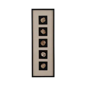 16x47 Jensen Petrified Stone Shadow Box Wall Decor