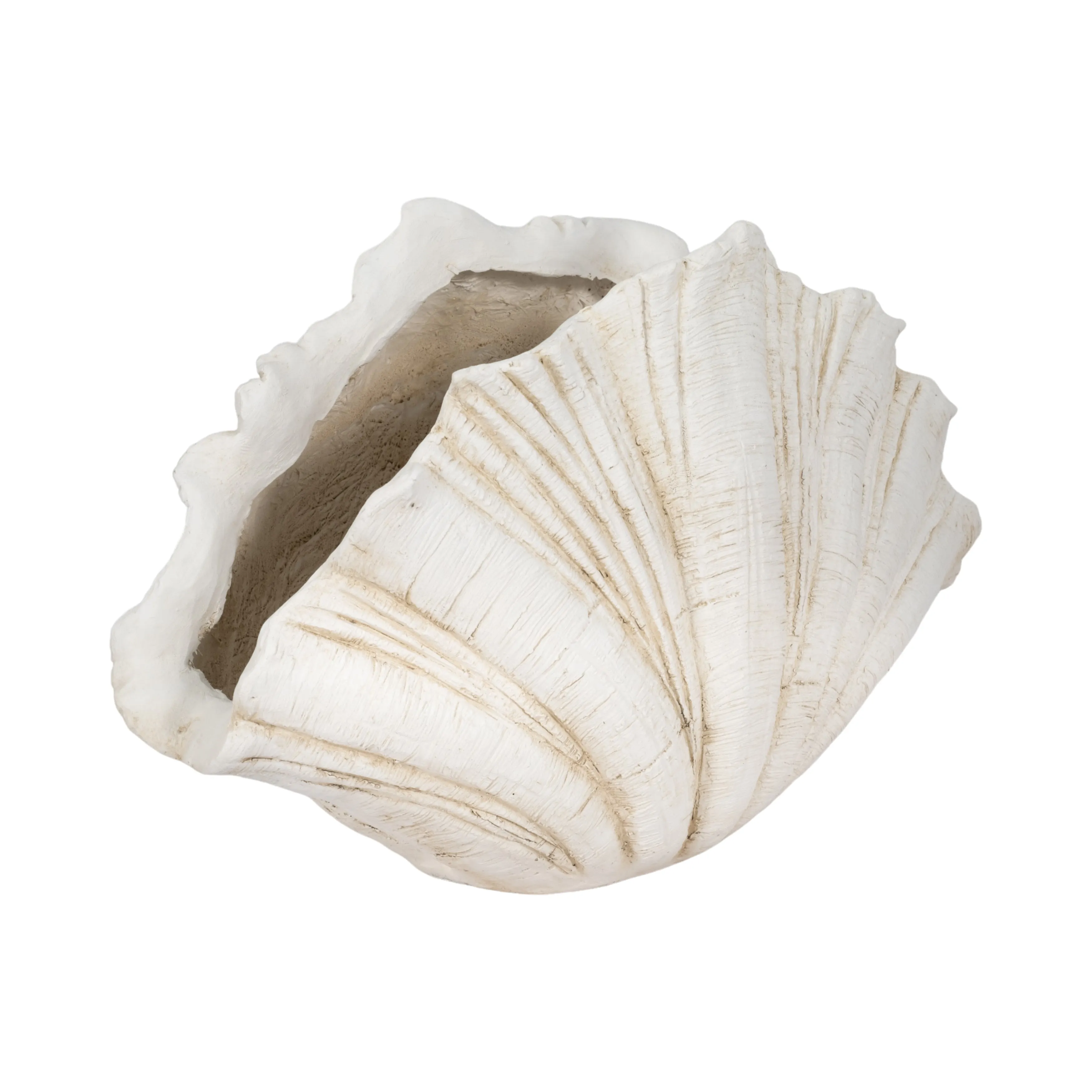 22" Scallop Shell Decor, White