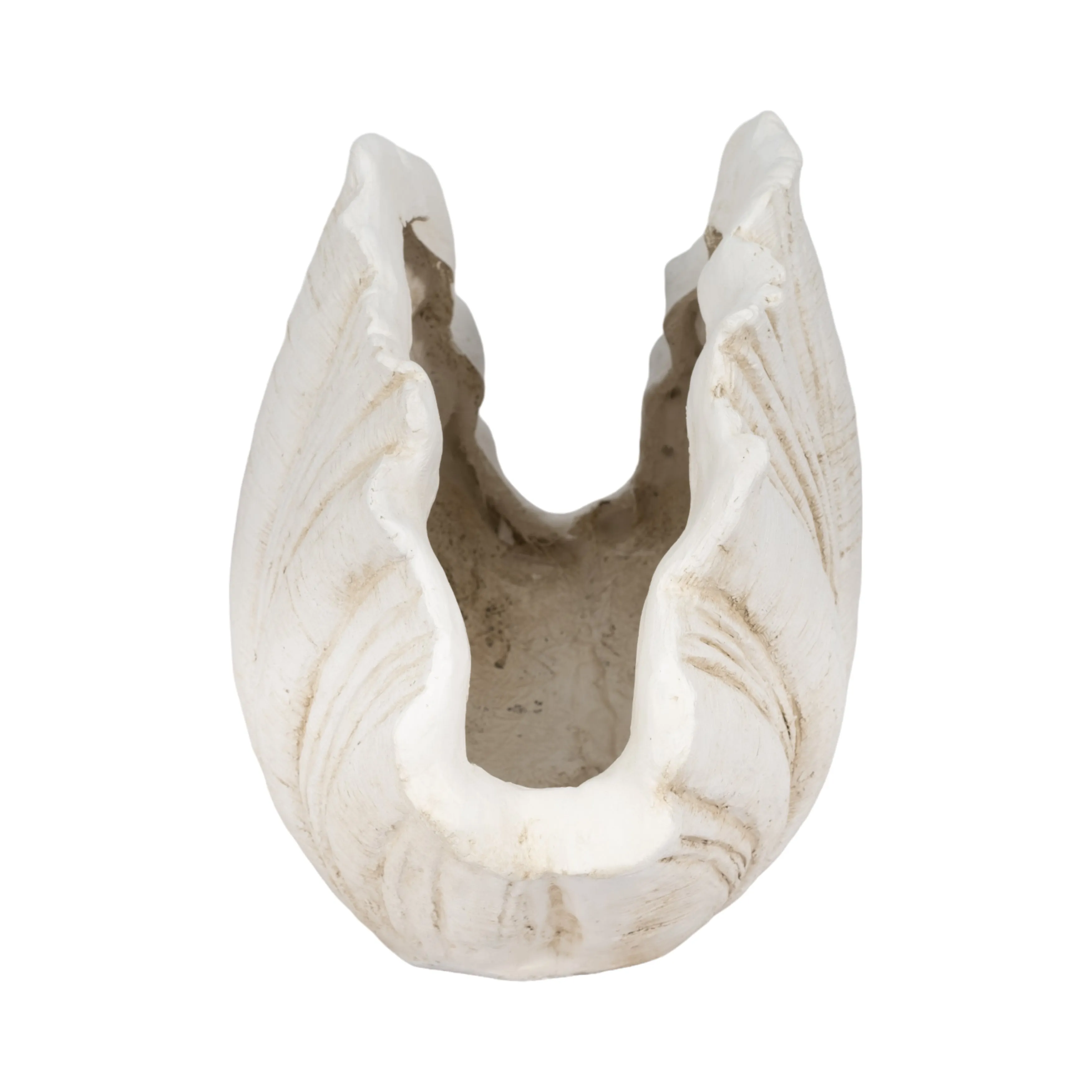 22" Scallop Shell Decor, White