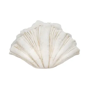 22" Scallop Shell Decor, White