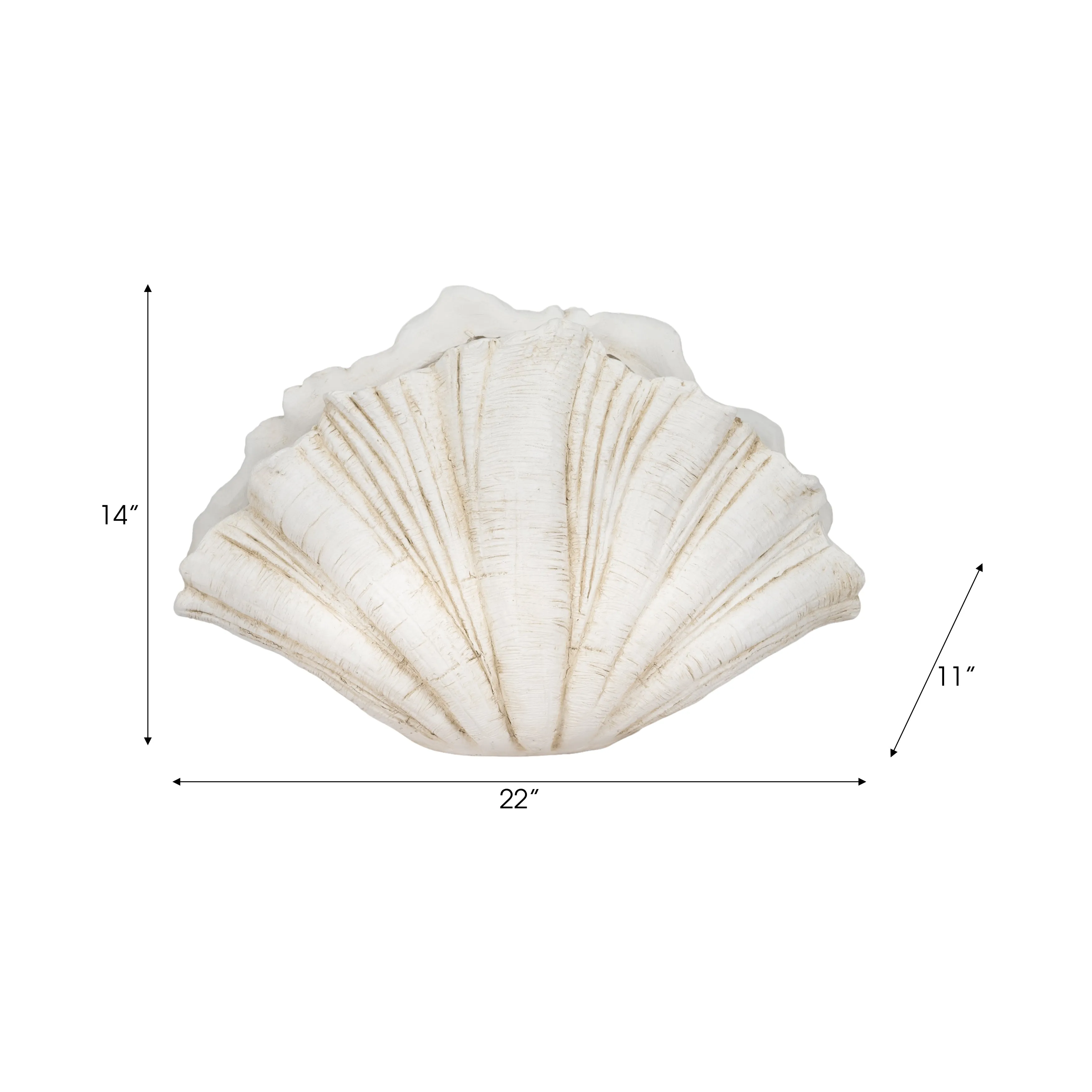 22" Scallop Shell Decor, White