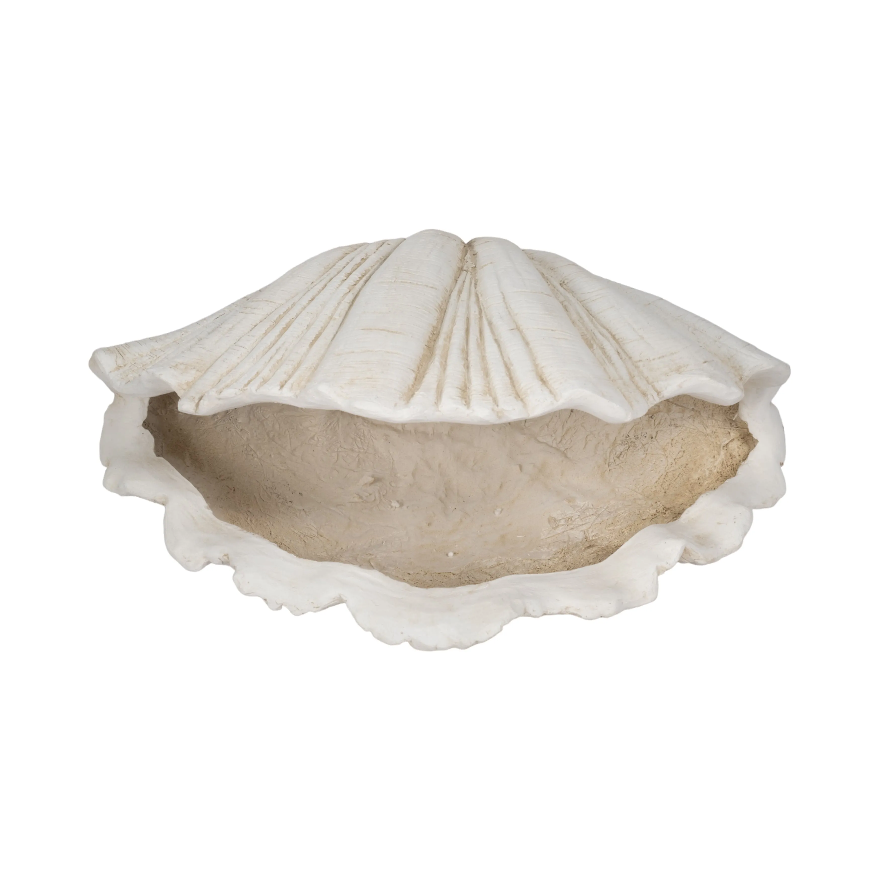 22" Scallop Shell Decor, White