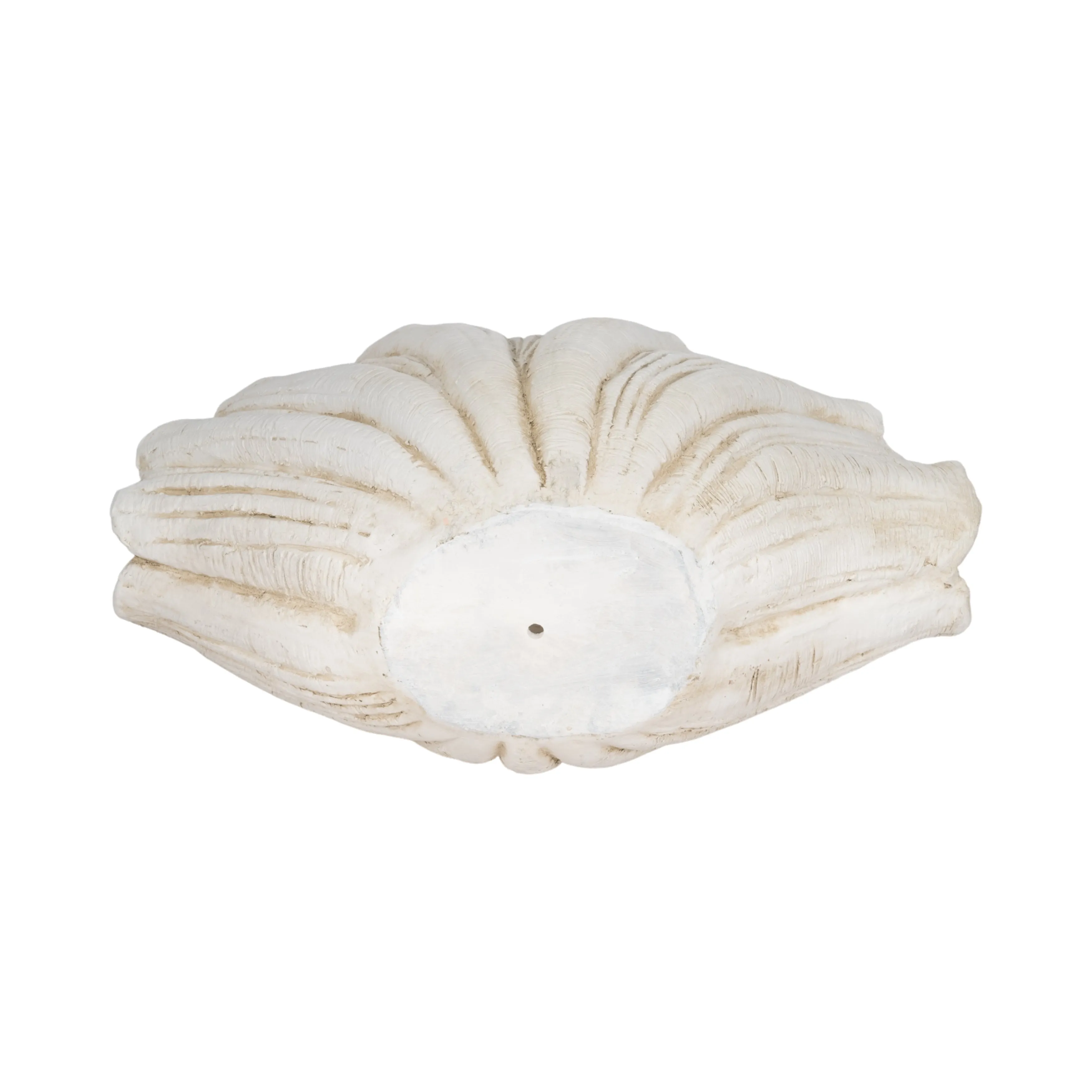 22" Scallop Shell Decor, White