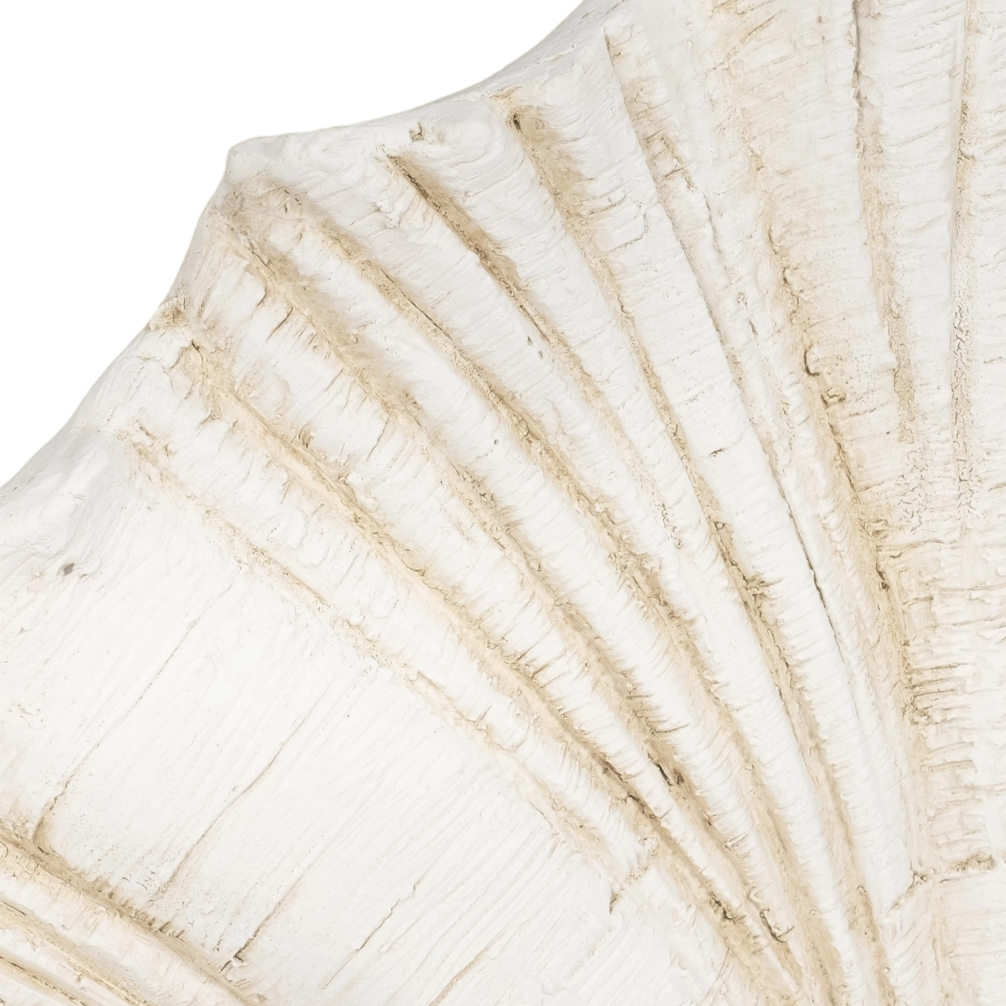 22" Scallop Shell Decor, White