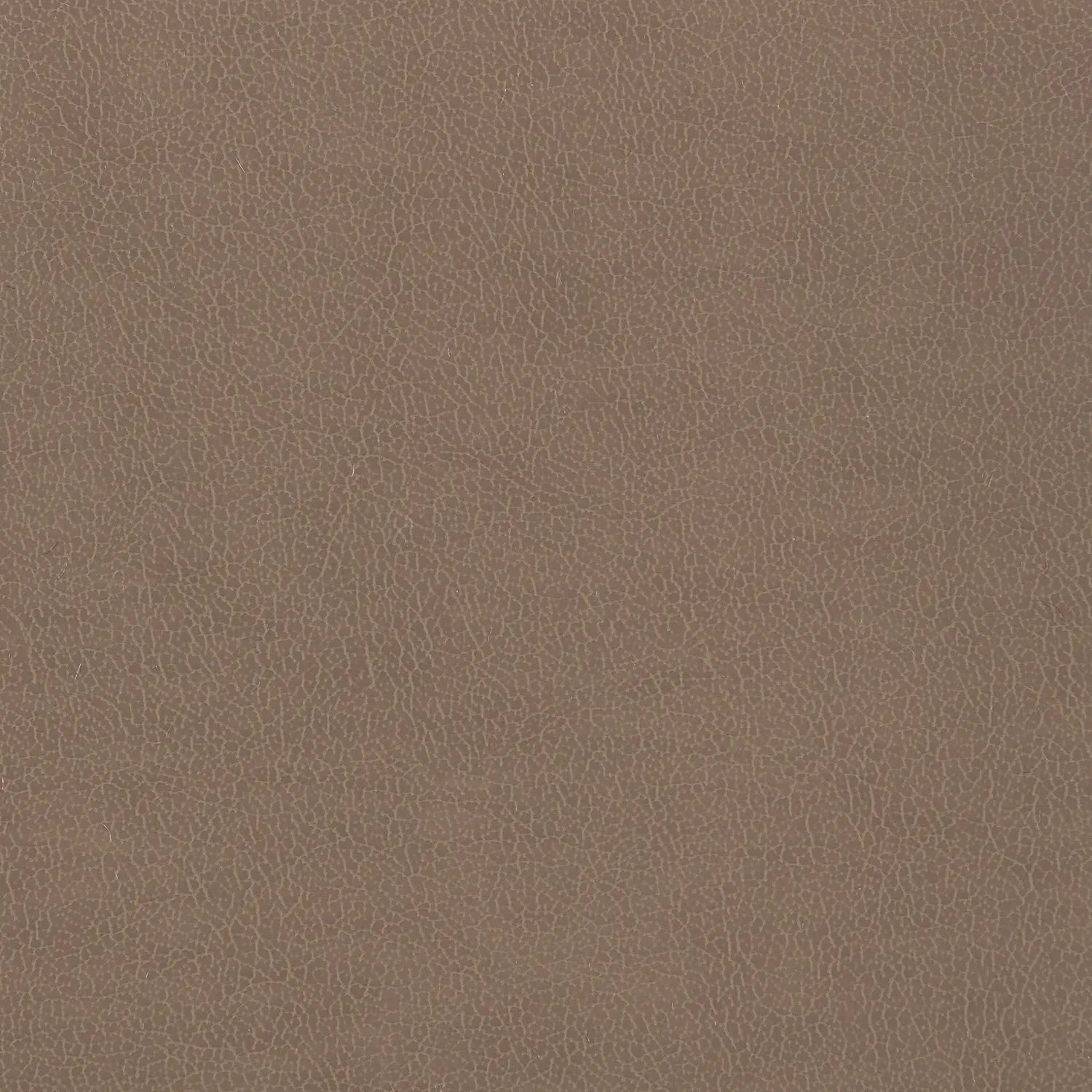 Caracole Upholstery - You Sleigh Me