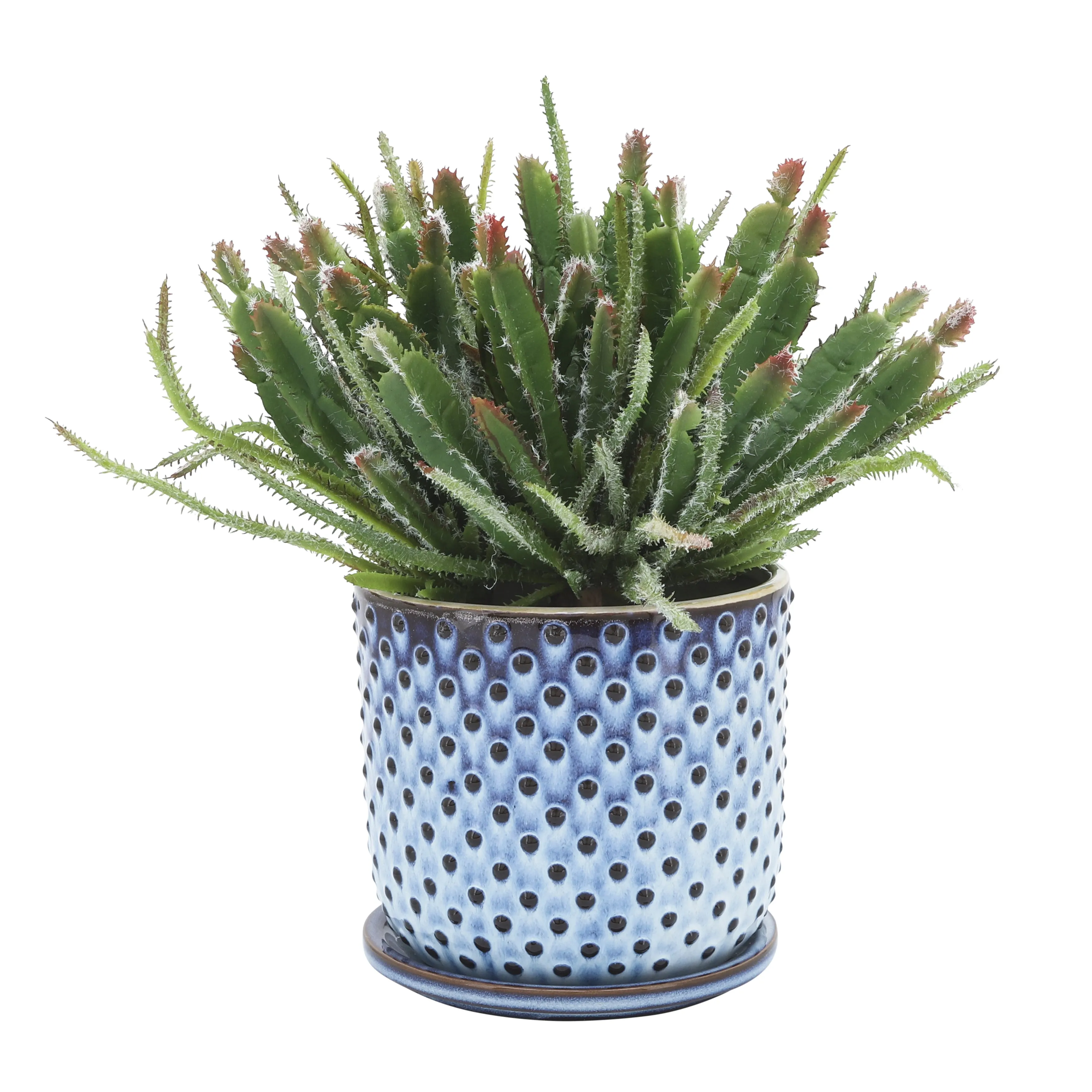 CERAMIC 6" DOTTED PLANTER W/ SAUCER, BLUE
