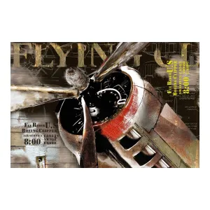 Flight Wall Dcor