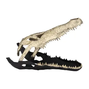 METAL,16",ALLIGATOR SKULL,GOLD/BLACK