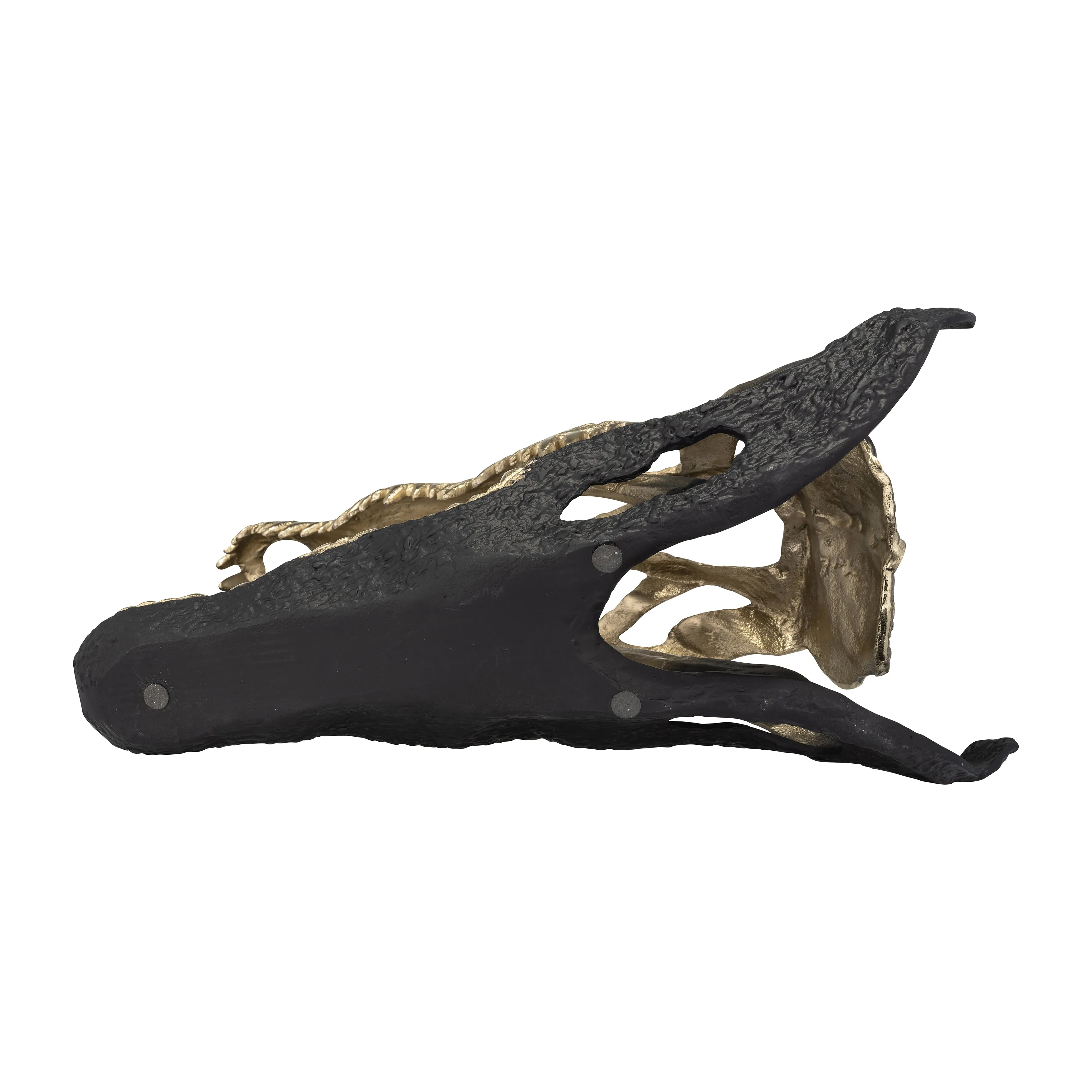 METAL,16",ALLIGATOR SKULL,GOLD/BLACK