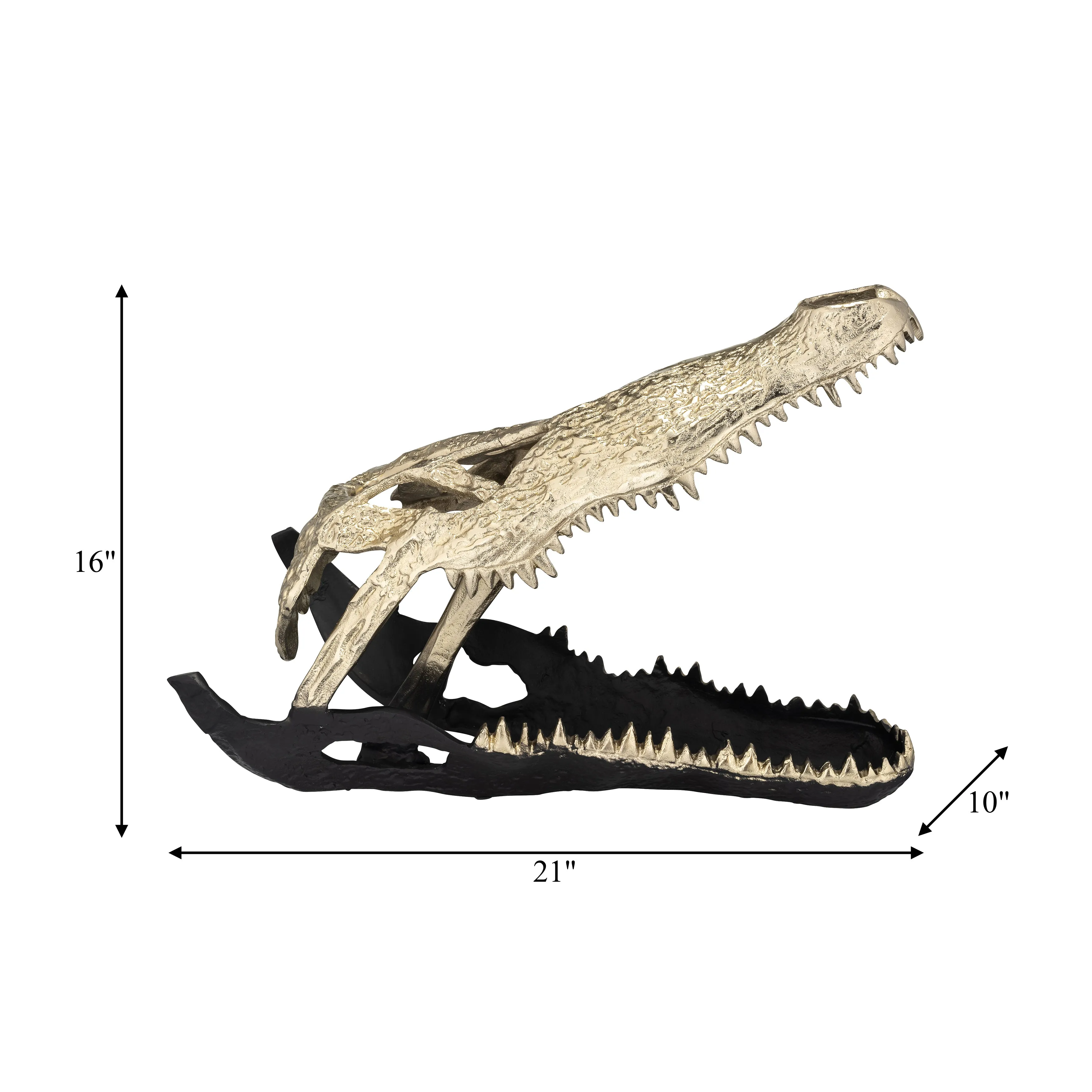 METAL,16",ALLIGATOR SKULL,GOLD/BLACK