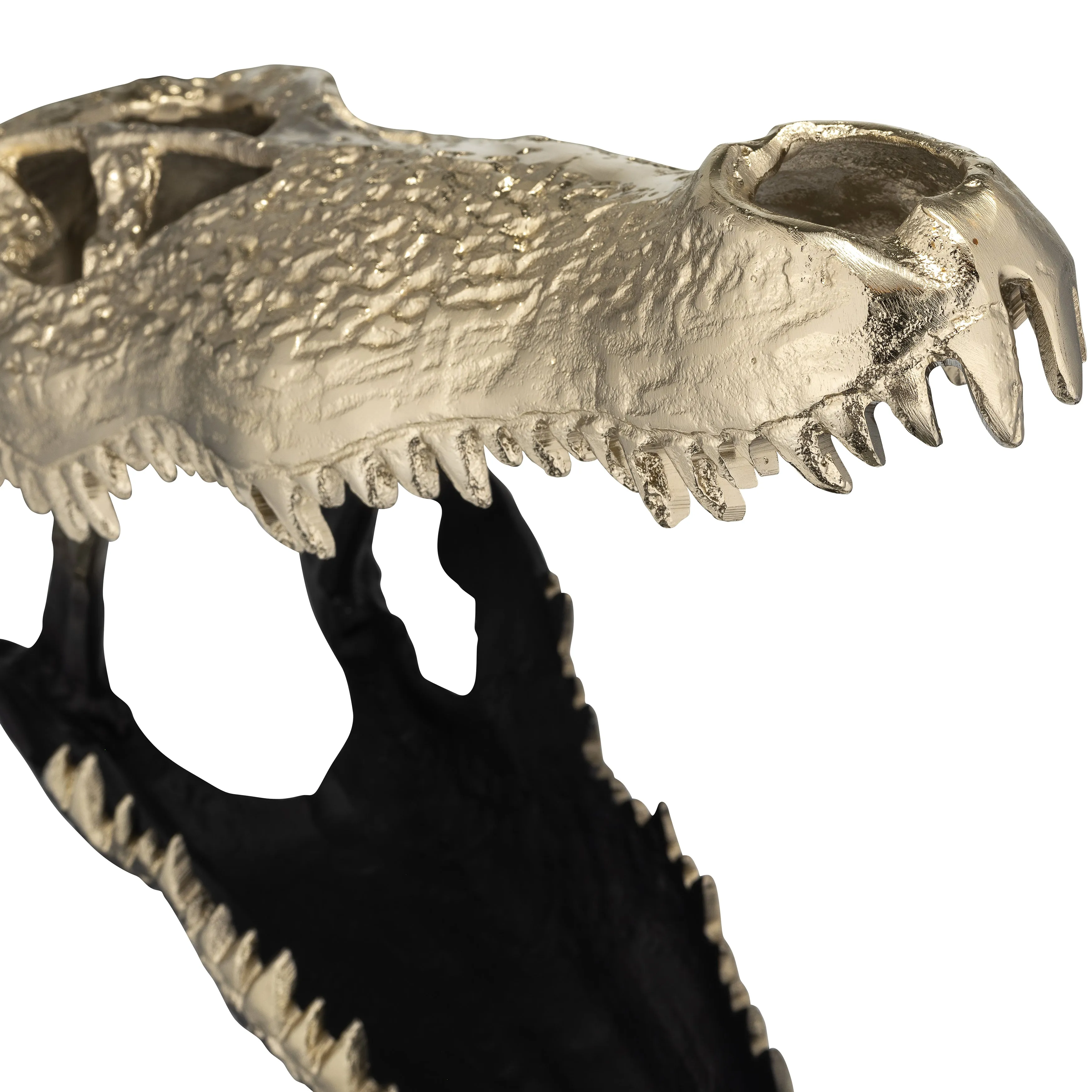 METAL,16",ALLIGATOR SKULL,GOLD/BLACK