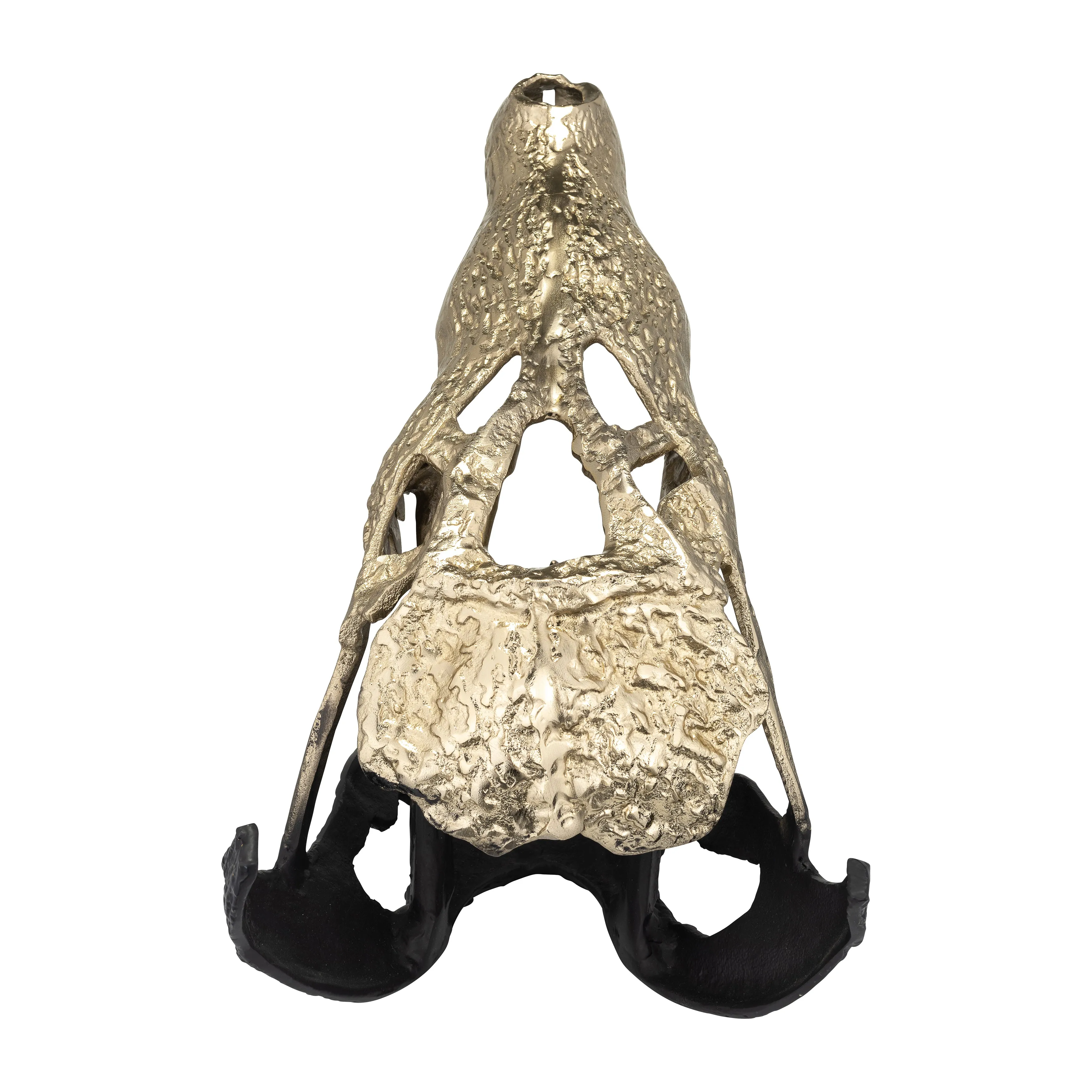 METAL,16",ALLIGATOR SKULL,GOLD/BLACK