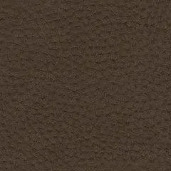 Next-Gen Gaucho Reclining Sofa