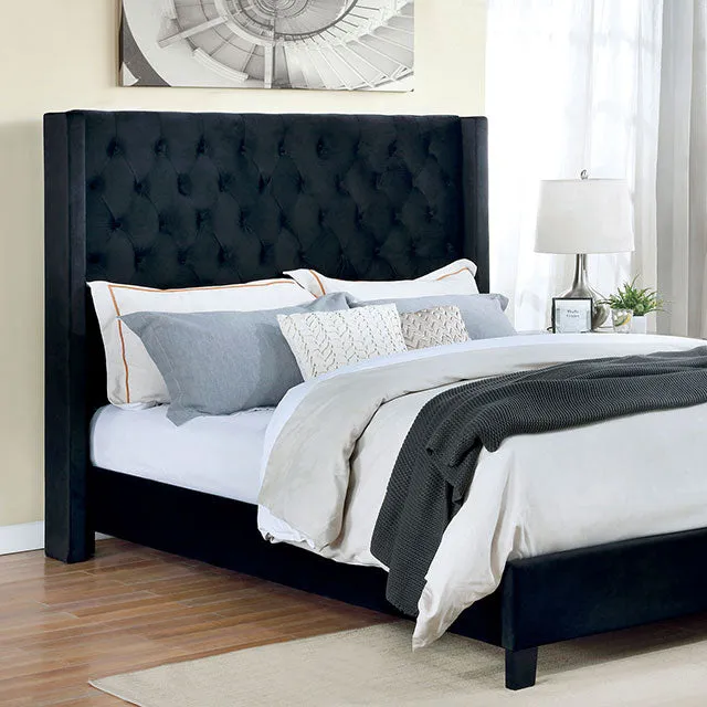 Ryleigh Bed