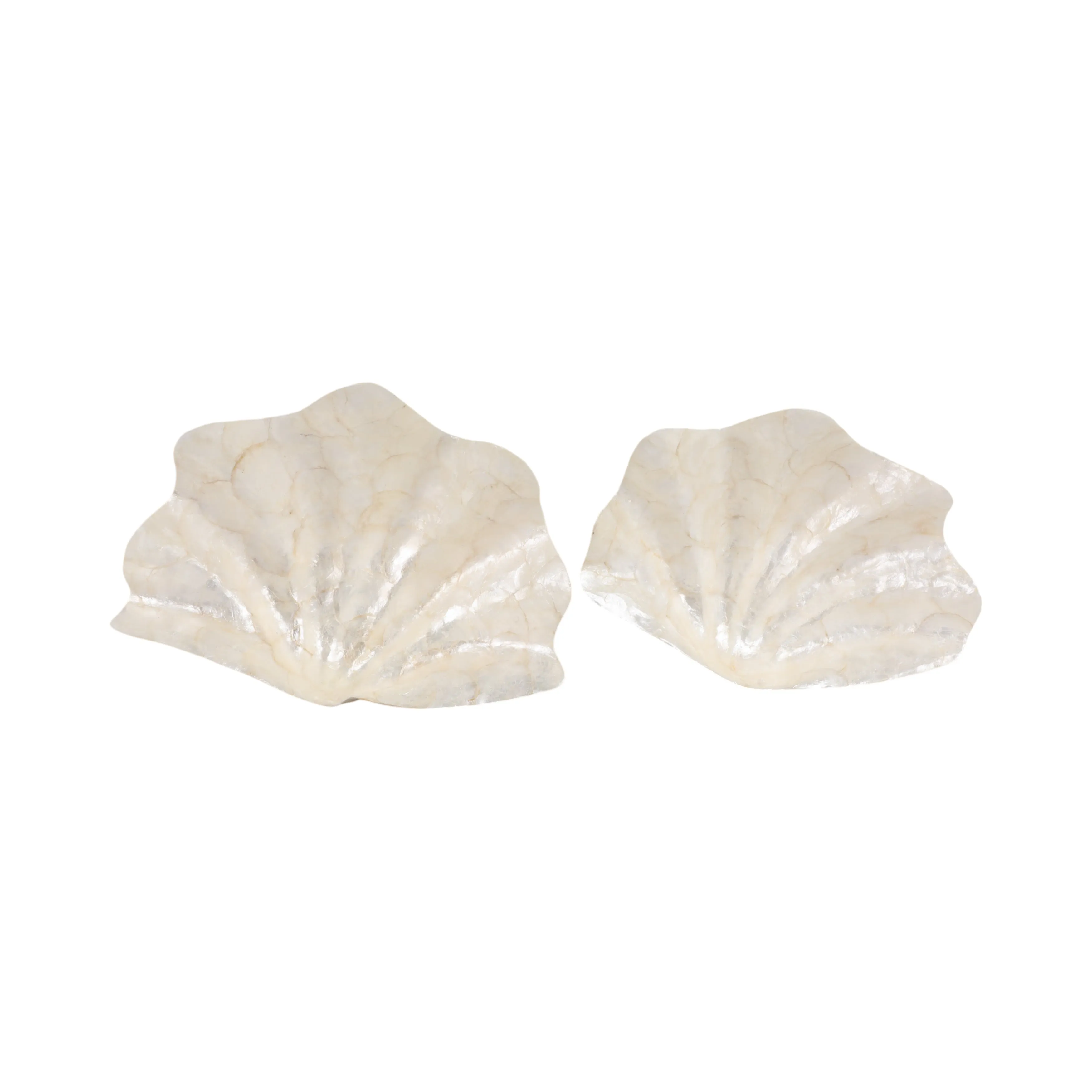 S/2 17"/20" Capiz Shell Shaped Bowls, Ivory