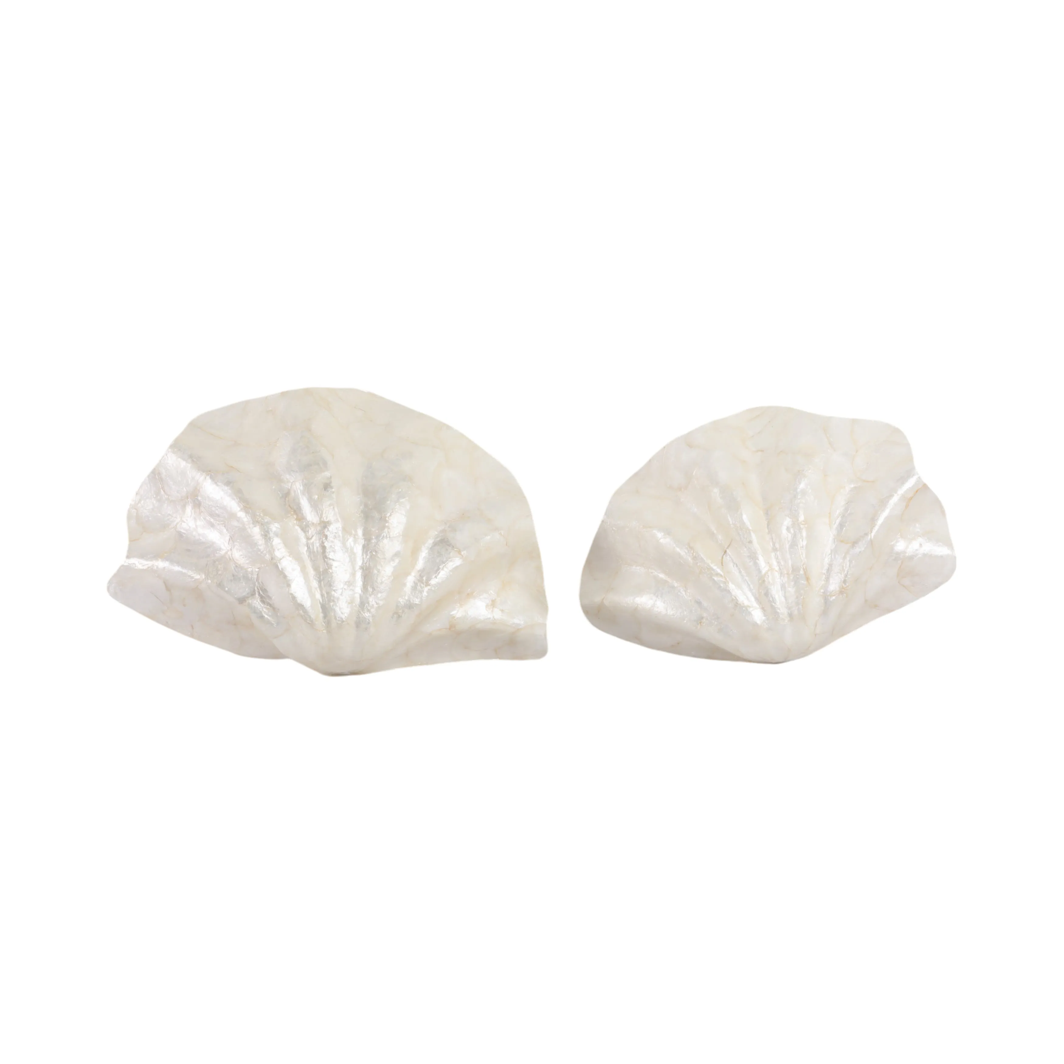 S/2 17"/20" Capiz Shell Shaped Bowls, Ivory