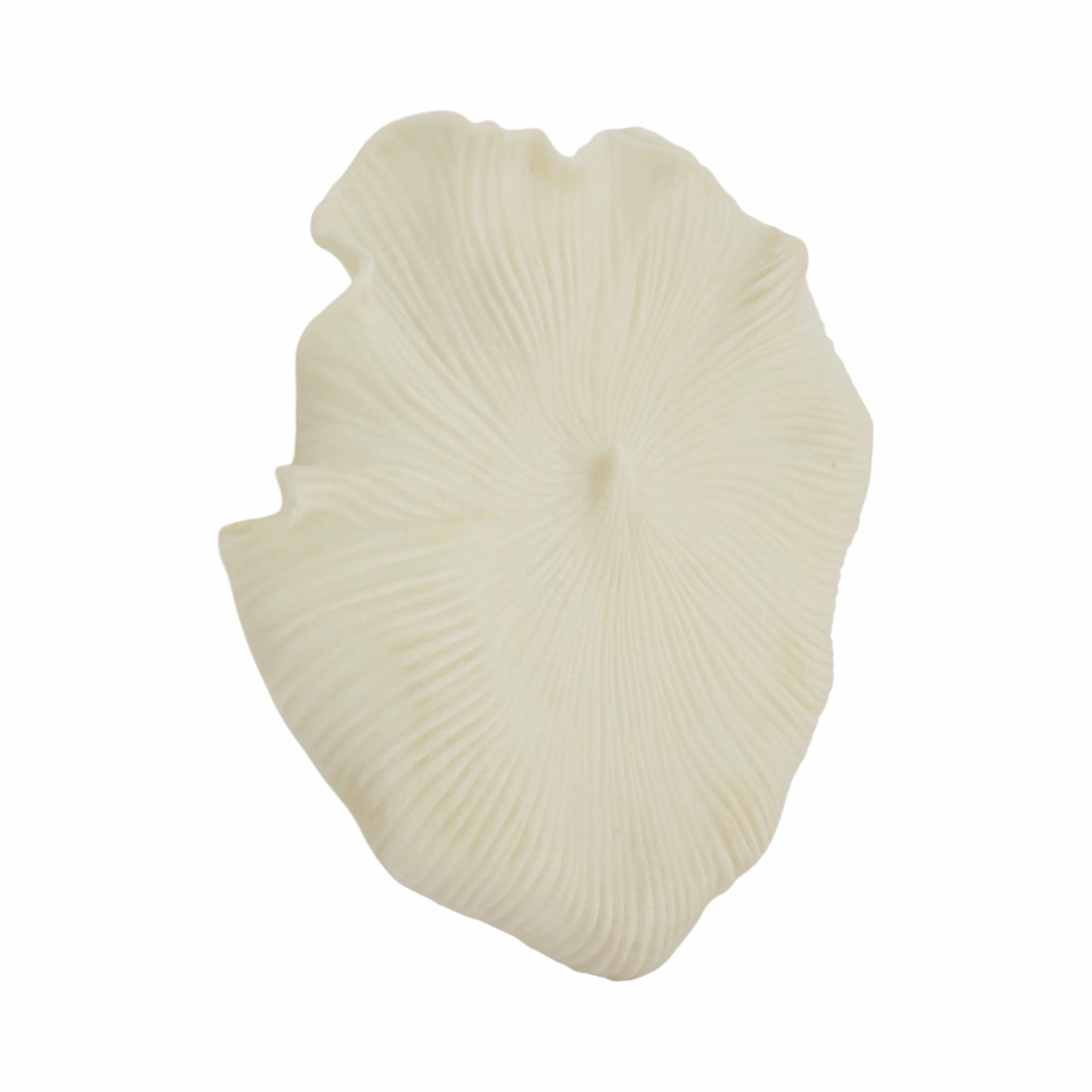 S/3 18/19/20" Majorca Quartz Resin Shell Wall Deco