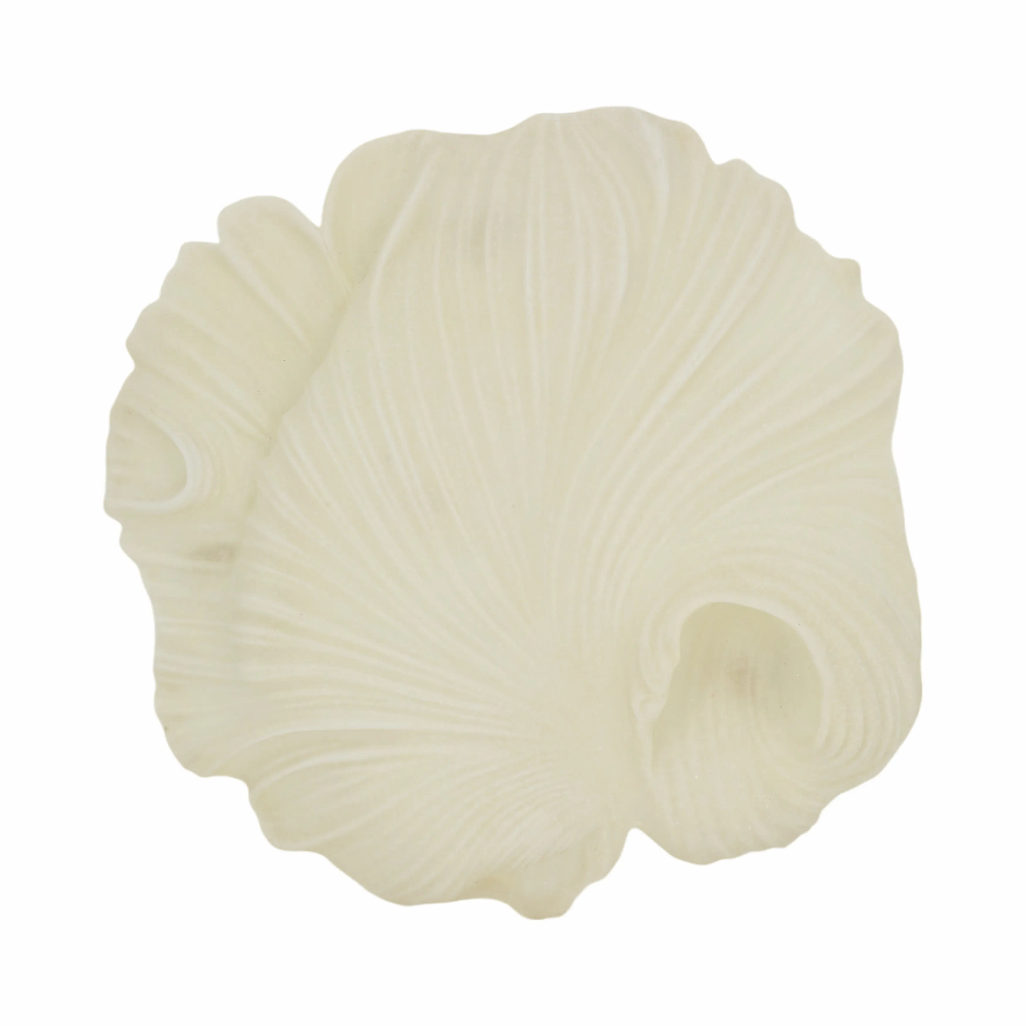 S/3 18/19/20" Majorca Quartz Resin Shell Wall Deco