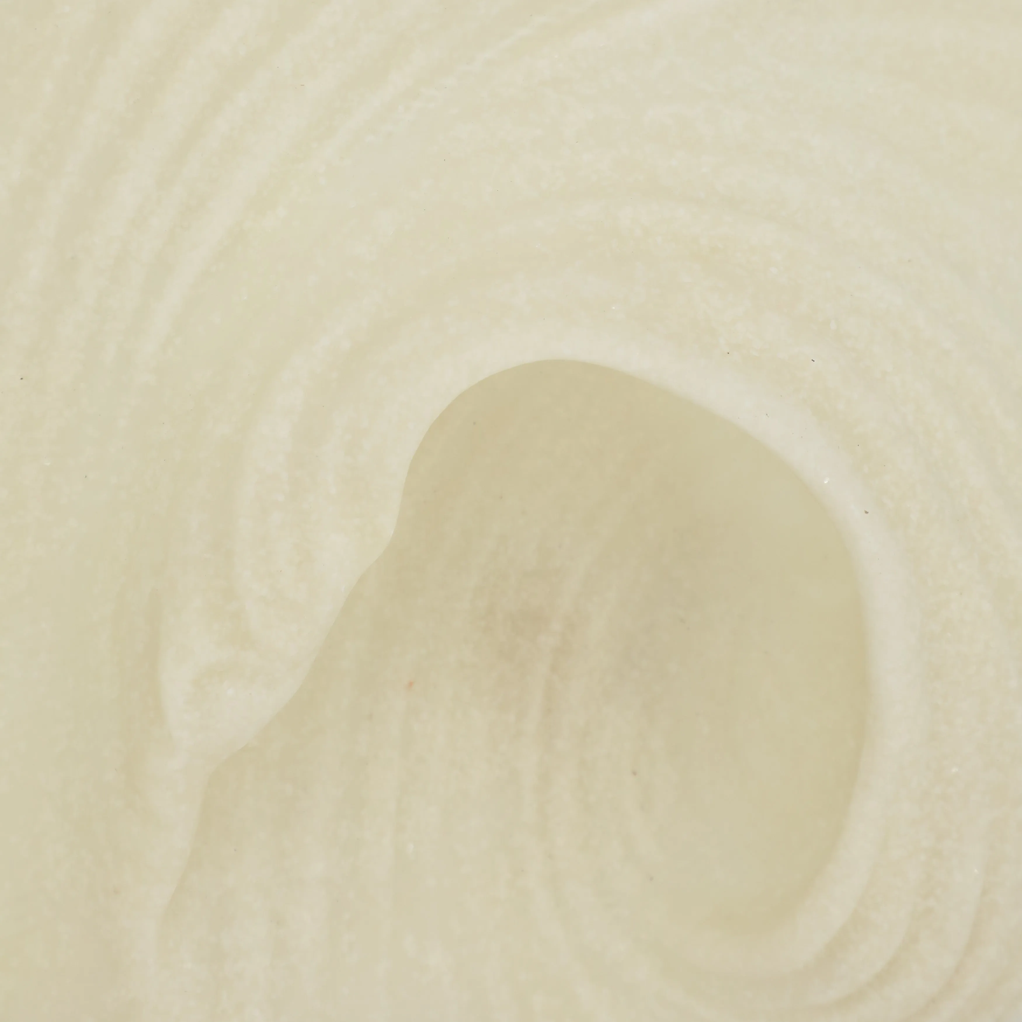 S/3 18/19/20" Majorca Quartz Resin Shell Wall Deco