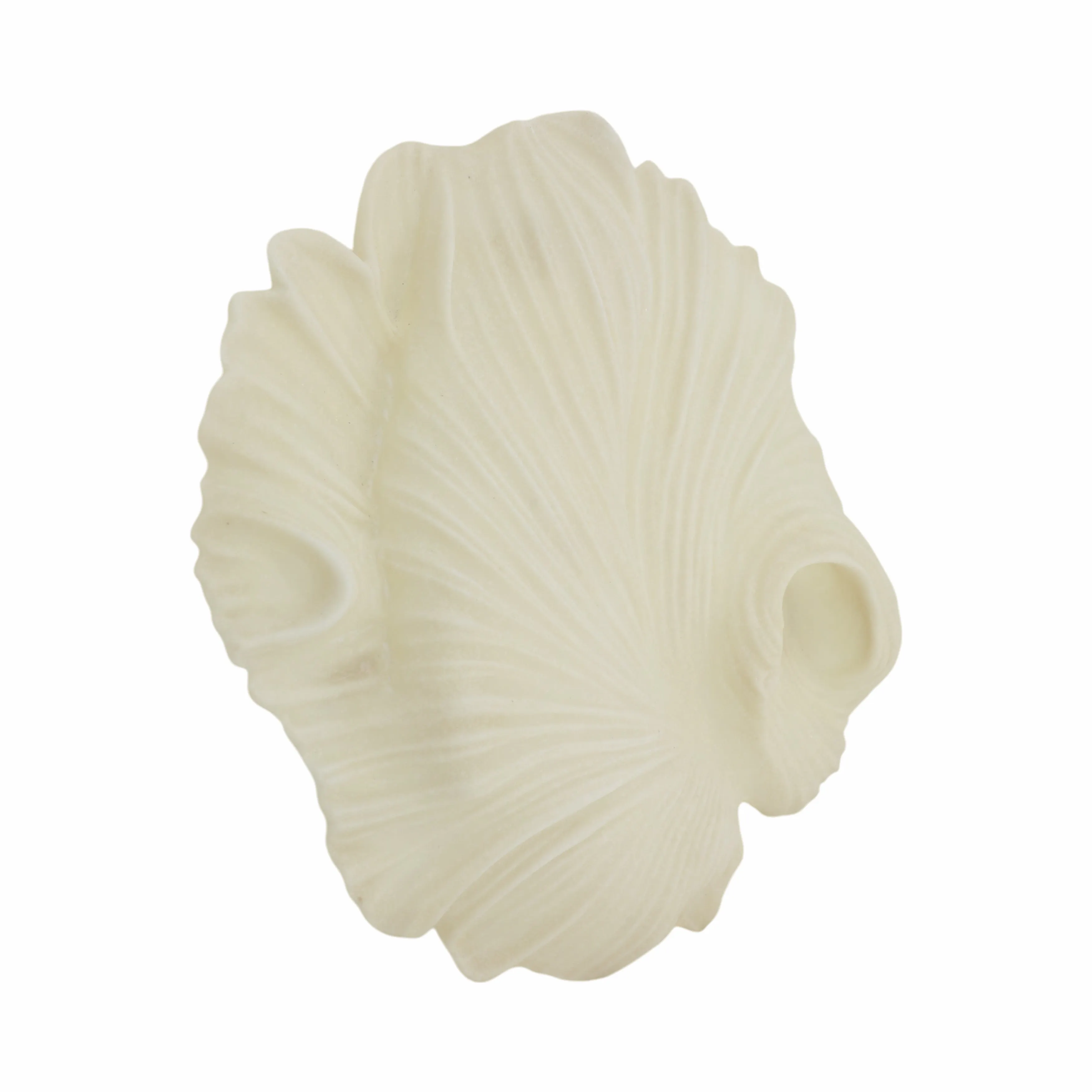 S/3 18/19/20" Majorca Quartz Resin Shell Wall Deco