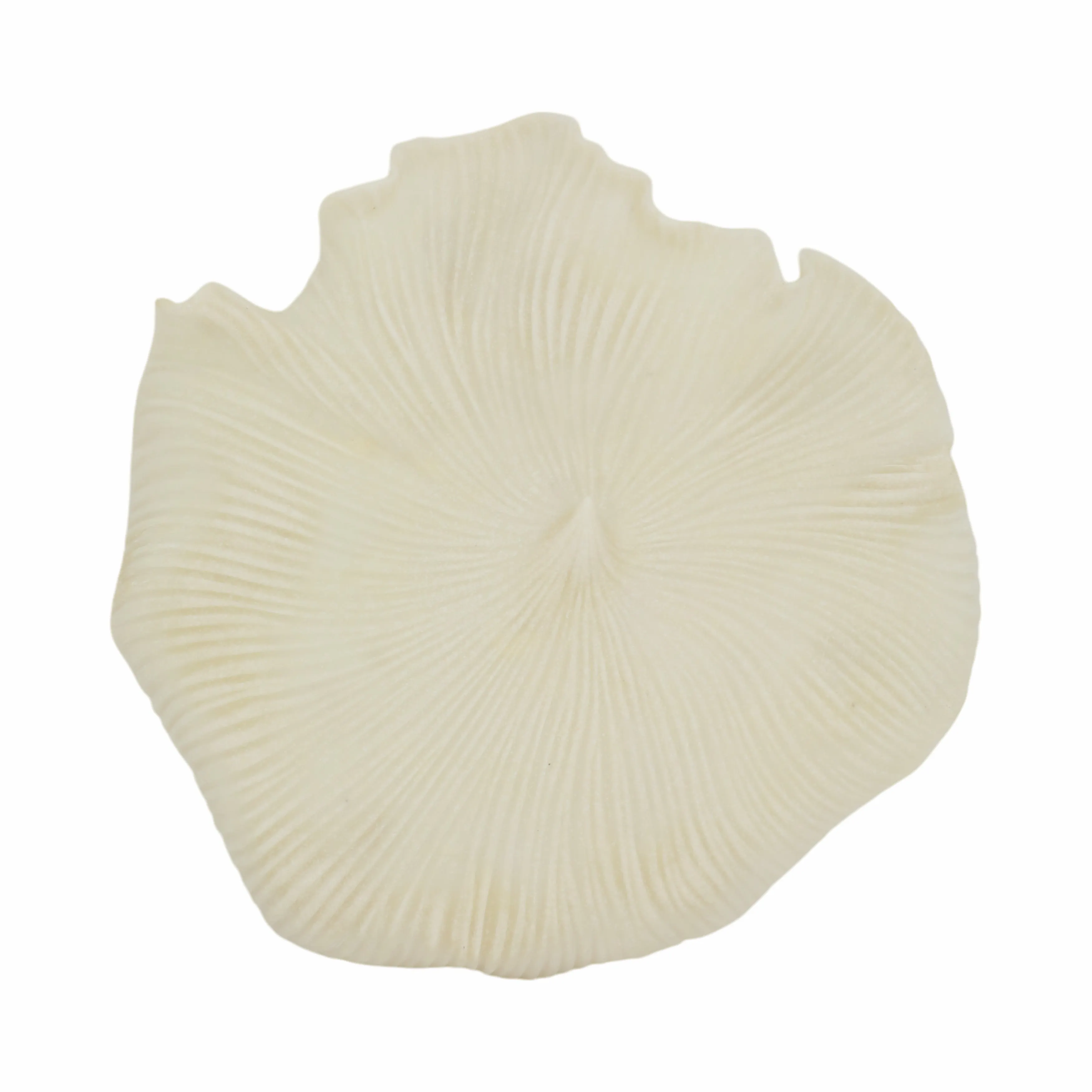 S/3 18/19/20" Majorca Quartz Resin Shell Wall Deco
